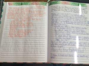Journaling on overcoming the medical woes