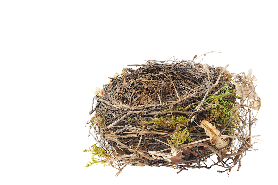 God pushing me out of the nest